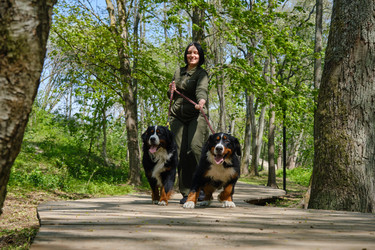 Similar image 21211987