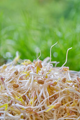 Similar image 21211988