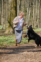 Similar image 21212039