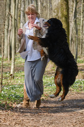 Similar image 21212040