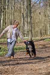 Similar image 21224000