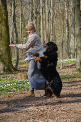 Similar image 21229535