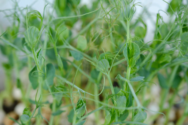 Similar image 21229540