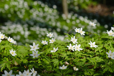 Similar image 21229541