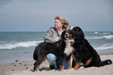 Similar image 21229542