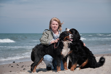 Similar image 21229544