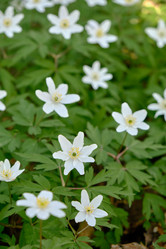 Similar image 21229545