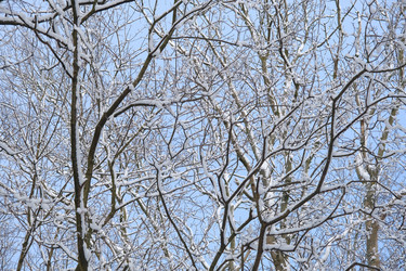 Similar image 21211792