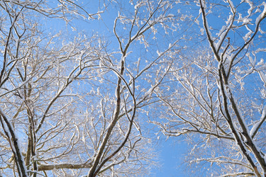 Similar image 21211794