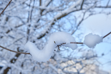 Similar image 21211797