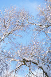 Similar image 21211799