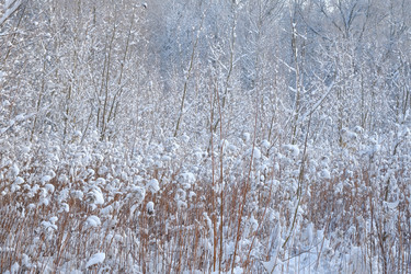 Similar image 21211803