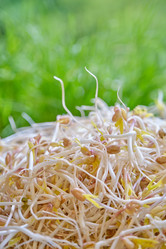 Similar image 21211807