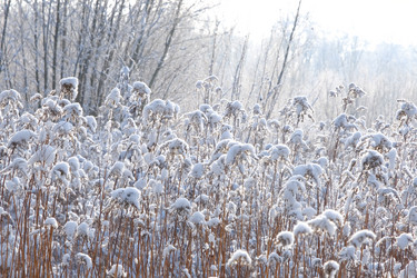 Similar image 21211935