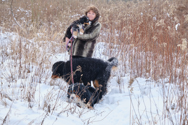 Similar image 21211936