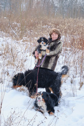 Similar image 21211971