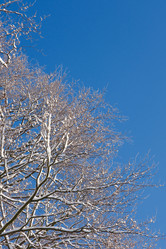 Similar image 21211995