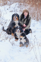 Similar image 21212059