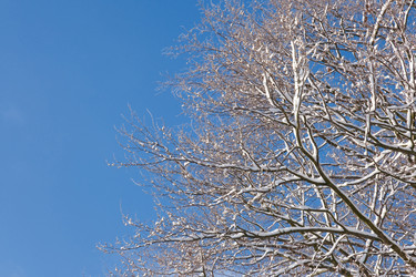 Similar image 21212060