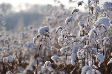 Similar image 21212061