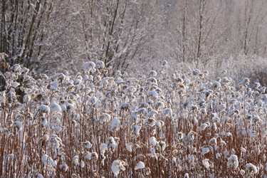 Similar image 21212063