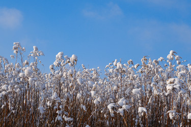 Similar image 21212064