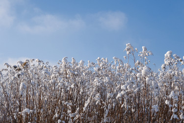 Similar image 21224007