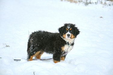 Similar image 21224141