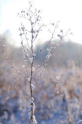 Similar image 21229574