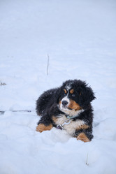 Similar image 21229575