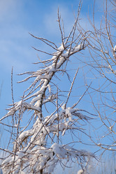 Similar image 21229576