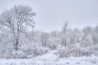 Similar image 21229578