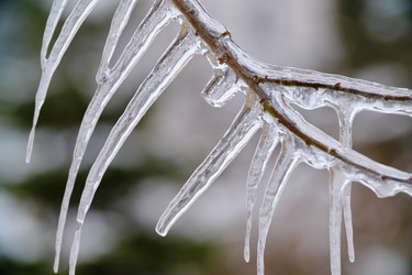 Similar image 21229583