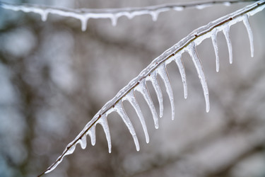 Similar image 21229753