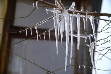 Similar image 21242841