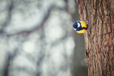 Similar image 21243645