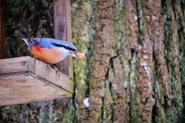 Similar image 21243647