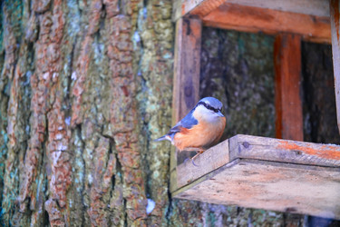 Similar image 21243649