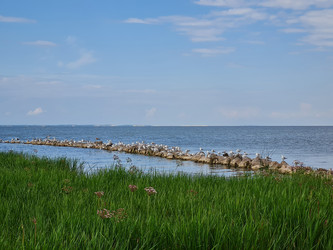 Similar image 21243993