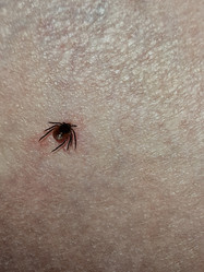 Similar image 21245580