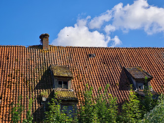 Similar image 21247458