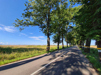 Similar image 21249700