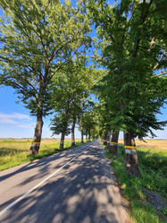 Similar image 21249736