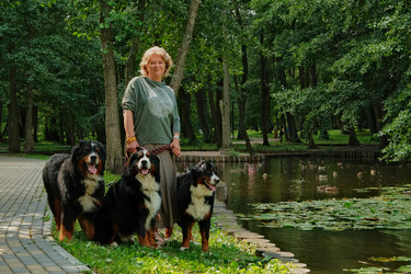 Similar image 21257044