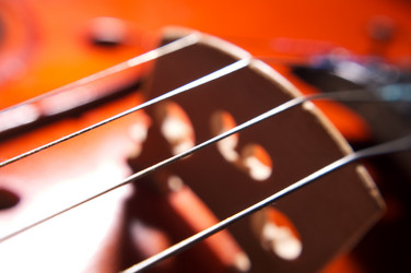 Similar image 21244001