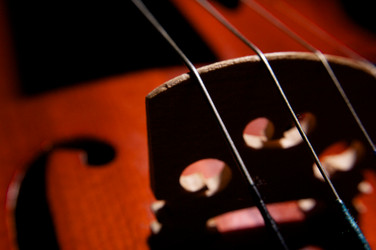 Similar image 21244002