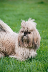 Similar image 21245650