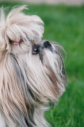 Similar image 21245772