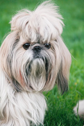 Similar image 21245773