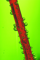 Similar image 21246006